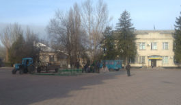 У Роздільній встановлюють новорічну ялинку У Роздільній встановлюють новорічну ялинку