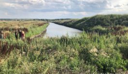 Трагедія в Єгорівці Трагедія в Єгорівці
