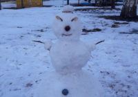 Перша робота в рамках конкурсу “Креативний сніговик”