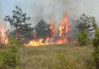 Хроніка пожеж у Роздільнянському районі