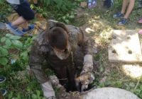 У Роздільнянському районі врятували двох тварин (+відео)