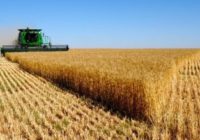В Україні до 2020 року продовжено мораторій на продаж земель сільгосппризначення