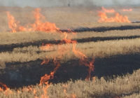 У селах Роздільнянського району рятувальники ліквідували пожежі сухої трави