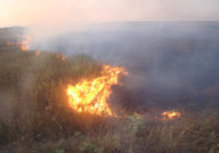 На Одещині й надалі збережеться надзвичайна пожежна небезпека (5 класу)