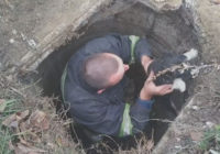 У Роздільній із закинутого каналізаційного люка врятували маленьку собаку, відео 