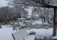 5 – 6 лютого на території Одеської області очікується ускладнення погодних умов