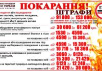 ОСНОВНІ ВИМОГИ ПОЖЕЖНОЇ БЕЗПЕКИ ПІД ЧАС ПЕРЕБУВАННЯ У ЛІСІ ТА ЛІСОПАРКОВИХ ЗОНАХ