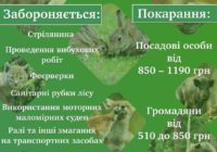 З 1 квітня й до 15 червня в усіх українських лісах оголошено “сезон тиші”