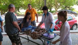 Ходити заново можливо Ходити заново можливо
