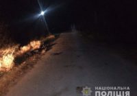 Поліцейські встановлюють обставини смертельної ДТП у Роздільнянському районі
