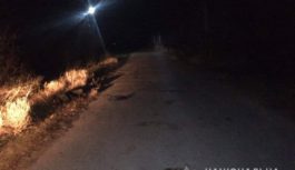 Поліцейські встановлюють обставини смертельної ДТП у Роздільнянському районі Поліцейські встановлюють обставини смертельної ДТП у Роздільнянському районі