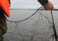 На водоймах Одещини встановлено нерестовий запрет на любительський та промисловий вилов риби