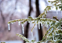 В Україну йдуть сильні снігопади й ожеледиця