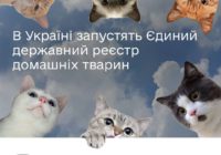 В Україні запустять єдиний державний реєстр домашніх тварин