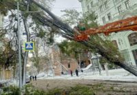 28 листопада в Одесі та області оголосили штормове попередження