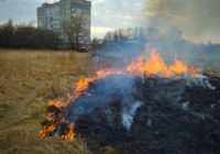 Рятувальники закликають не спалювати суху траву