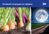 Місячний посівний календар на червень-2024: що і коли робити на ділянці