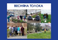 Весняна толока