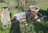 Розбиті будки для безпритульних собак у Нових Чобручах: волонтери обурені, поліція з’ясовує обставини