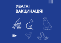 Увага! Вакцинація!