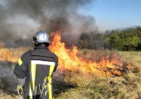 Масштабні пожежі в Роздільнянському районі