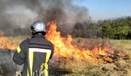 Масштабні пожежі в Роздільнянському районі