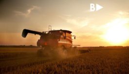 Вимоги  безпеки  під  час  збору  врожаю  ранніх  зернових культур  у  товаристві