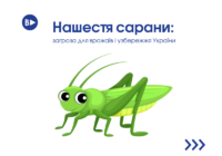 Нашестя сарани: загроза для врожаїв і узбережжя України