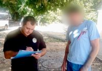 Вигулював собаку небезпечної породи без повідка та намордника