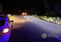Поліцейські розслідують обставини смертельної ДТП у Роздільнянському районі