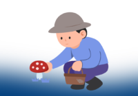 На Одещині двоє дітей потрапили до лікарні з підозрою на отруєння грибами На Одещині двоє дітей потрапили до лікарні з підозрою на отруєння грибами