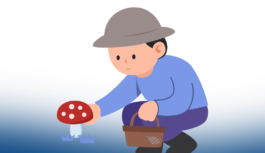 На Одещині двоє дітей потрапили до лікарні з підозрою на отруєння грибами