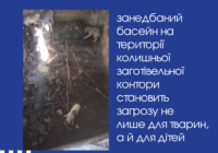 Хто наступний: занедбаний басейн становить загрозу не лише для тварин, а й для дітей