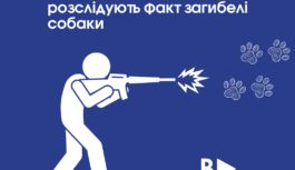 На Одещині поліцейські розслідують факт загибелі собаки На Одещині поліцейські розслідують факт загибелі собаки