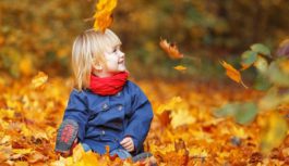 Синоптики розповіли, якої погоди чекати українцям у листопаді