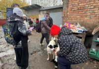 Добро починається з малого: учні Роздільнянського ліцею №2 допомагають безпритульним тваринам