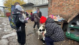 Добро починається з малого: учні Роздільнянського ліцею №2 допомагають безпритульним тваринам