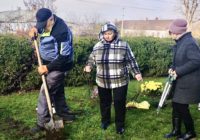 Кучурганці продовжують творити красу: на День Доброти висадили 23 кущі троянд біля будинку культури