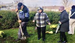 Кучурганці продовжують творити красу: на День Доброти висадили 23 кущі троянд біля будинку культури
