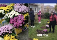 Квіти пам’яті: у Кучургані висадили хризантеми на честь загиблих Героїв Квіти пам’яті: у Кучургані висадили хризантеми на честь загиблих Героїв