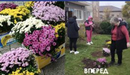Квіти пам’яті: у Кучургані висадили хризантеми на честь загиблих Героїв