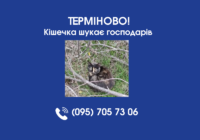 SOS! Маленьке життя потребує порятунку! SOS! Маленьке життя потребує порятунку!