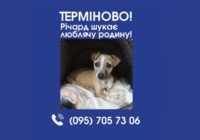 Річард шукає люблячу родину! Річард шукає люблячу родину!