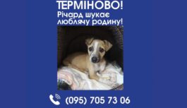 Річард шукає люблячу родину!