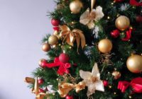 Штрафи за ялинки 2025: від 500 грн до тюрми — що загрожує за незаконну вирубку Штрафи за ялинки 2025: від 500 грн до тюрми — що загрожує за незаконну вирубку