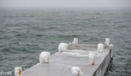 Гідрометцентр: наприкінці тижня на Одещині вночі до 10 градусів морозу