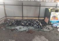 У Роздільній спалили сміттєві баки