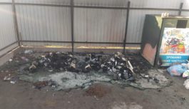 У Роздільній спалили сміттєві баки