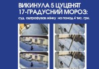 Викинула 5 цуценят  17-градусний мороз: суд  оштрафував жінку  на понад 4 тис. грн.