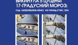 Викинула 5 цуценят  17-градусний мороз: суд  оштрафував жінку  на понад 4 тис. грн.